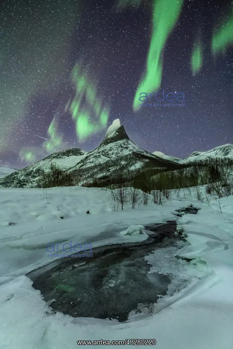 : Northern lights over the Stetind, Norwegian national : Northern lights over the Stetind, Norwegian national