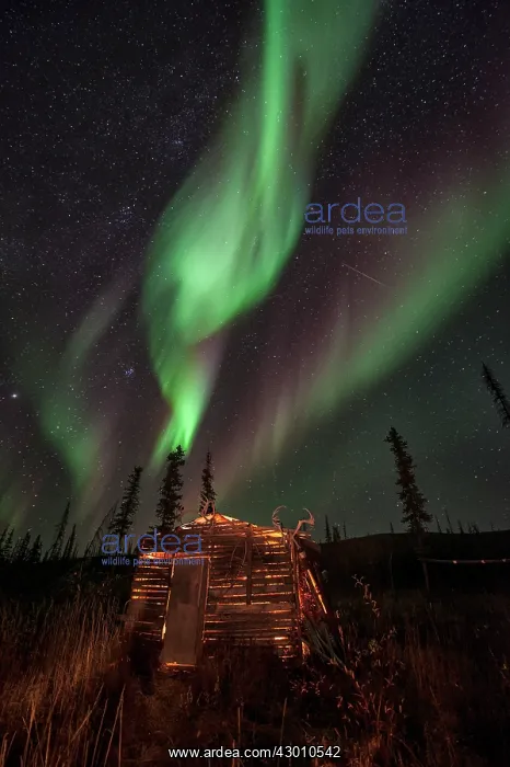 : Northern Lights over a traditional first nation : Northern Lights over a traditional first nation