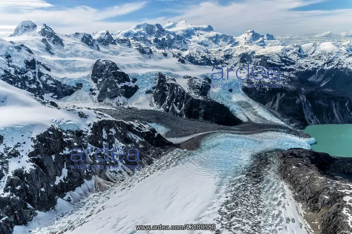 : Northern Patagonian Ice Field, Aerial view, Laguna : Northern Patagonian Ice Field, Aerial view, Laguna