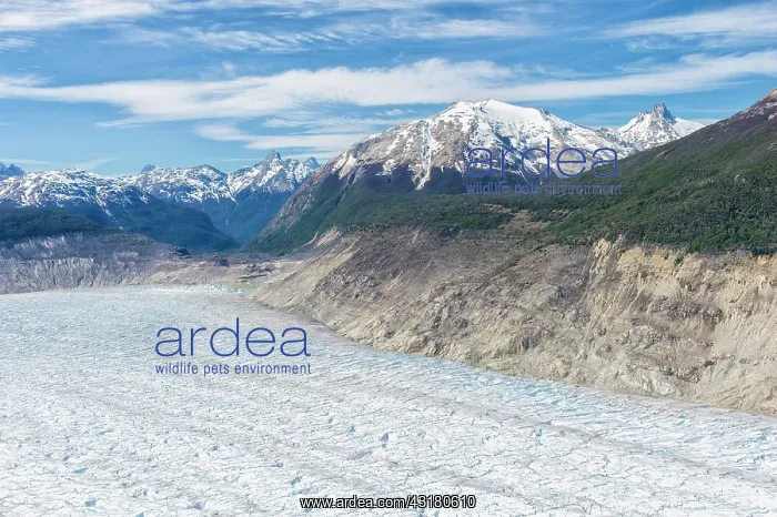 : Northern Patagonian Ice Field, Aerial view, Laguna : Northern Patagonian Ice Field, Aerial view, Laguna
