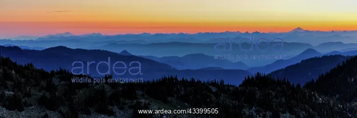 : Northern portion of Mt. Rainier National Park : Northern portion of Mt. Rainier National Park