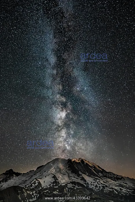 : Northern portion of Mt. Rainier National Park : Northern portion of Mt. Rainier National Park