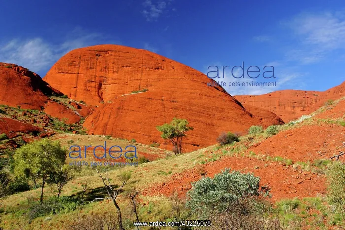 : Northern Territory, Outback, Australia : Northern Territory, Outback, Australia