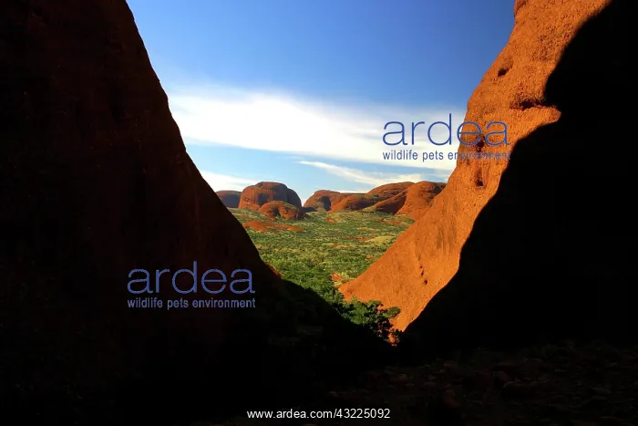 : Northern Territory, Outback, Australia : Northern Territory, Outback, Australia