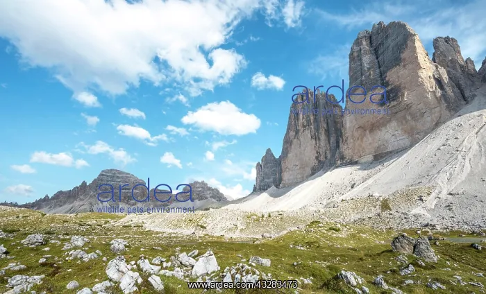 : Northern walls of the Three Peaks of Lavaredo of : Northern walls of the Three Peaks of Lavaredo of