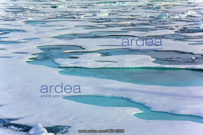 : Northwest Passage melting and breaking sea : Northwest Passage melting and breaking sea