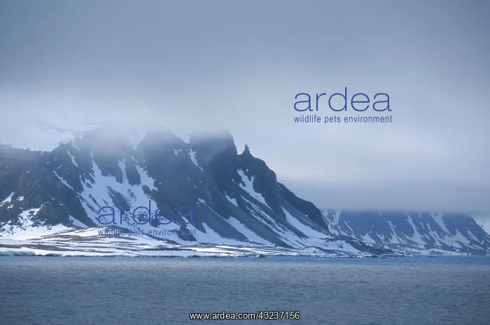 : Norway, Arctic Circle, North Atlantic Ocean : Norway, Arctic Circle, North Atlantic Ocean