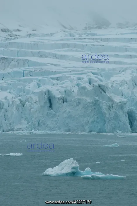 : Norway, Arctic Circle, North Atlantic Ocean : Norway, Arctic Circle, North Atlantic Ocean