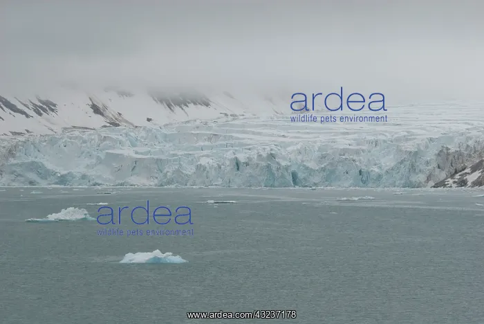 : Norway, Arctic Circle, North Atlantic Ocean : Norway, Arctic Circle, North Atlantic Ocean