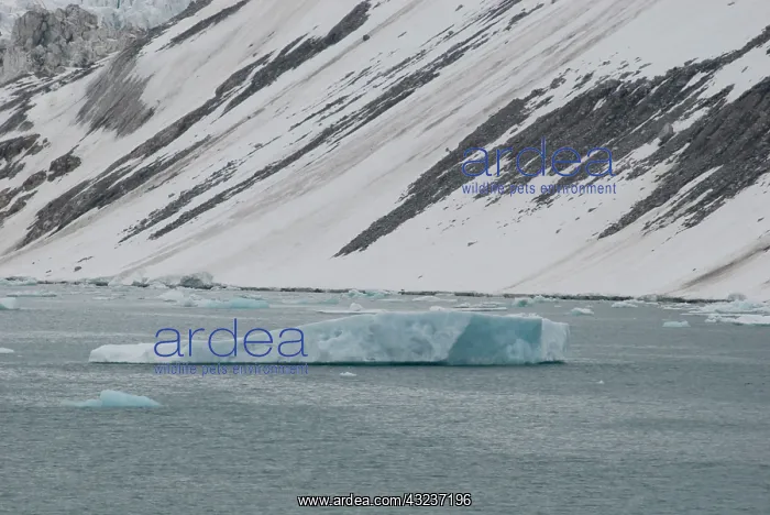 : Norway, Arctic Circle, North Atlantic Ocean : Norway, Arctic Circle, North Atlantic Ocean