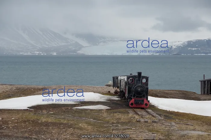 : Norway, Arctic Circle, Svalbard Islands : Norway, Arctic Circle, Svalbard Islands