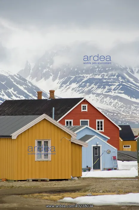 : Norway, Arctic Circle, Svalbard Islands : Norway, Arctic Circle, Svalbard Islands