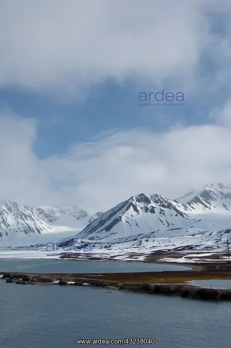 : Norway, Arctic Circle, Svalbard Islands : Norway, Arctic Circle, Svalbard Islands