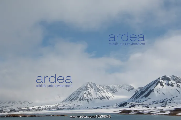 : Norway, Arctic Circle, Svalbard Islands : Norway, Arctic Circle, Svalbard Islands