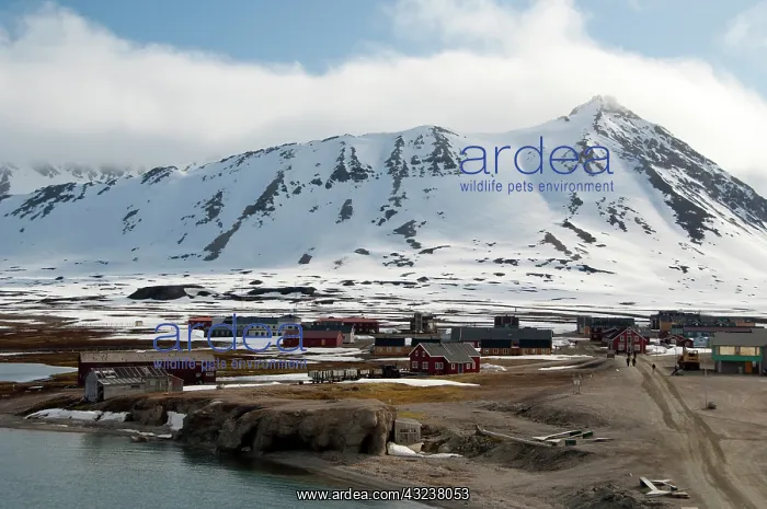 : Norway, Arctic Circle, Svalbard Islands : Norway, Arctic Circle, Svalbard Islands