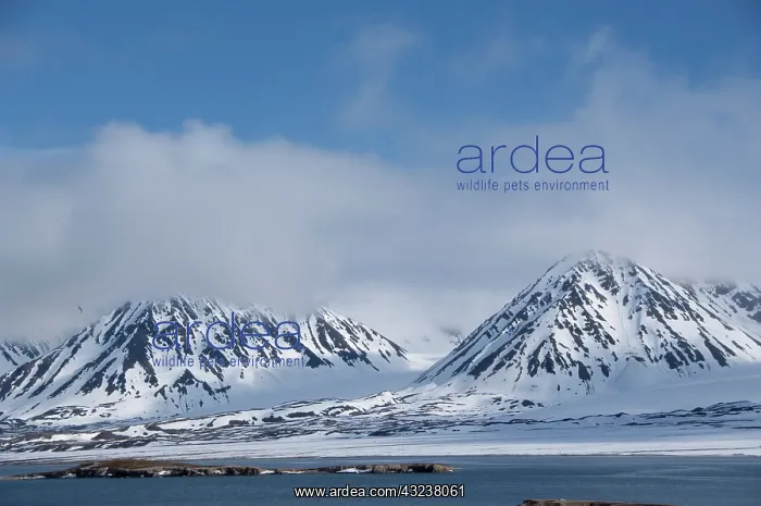 : Norway, Arctic Circle, Svalbard Islands : Norway, Arctic Circle, Svalbard Islands