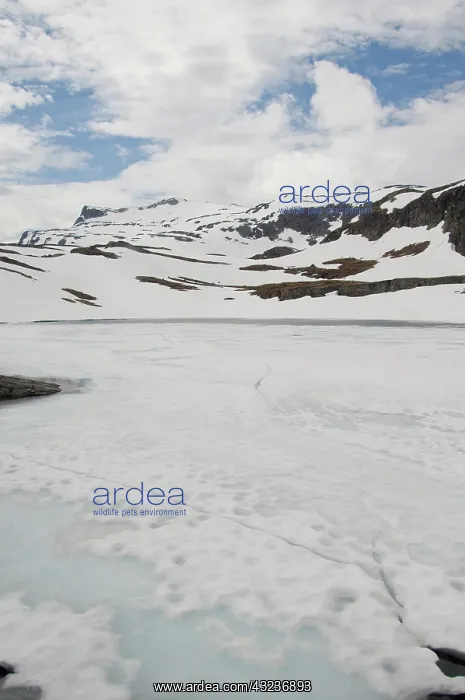 : Norway, Aurland Mountains. Views from the : Norway, Aurland Mountains. Views from the