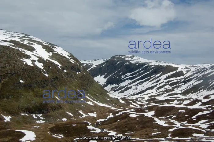  : Norway, Aurland Mountains. Views from the