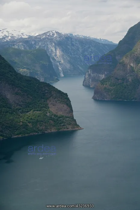 : Norway, Aurland near Flam. Stegastein Overlook : Norway, Aurland near Flam. Stegastein Overlook