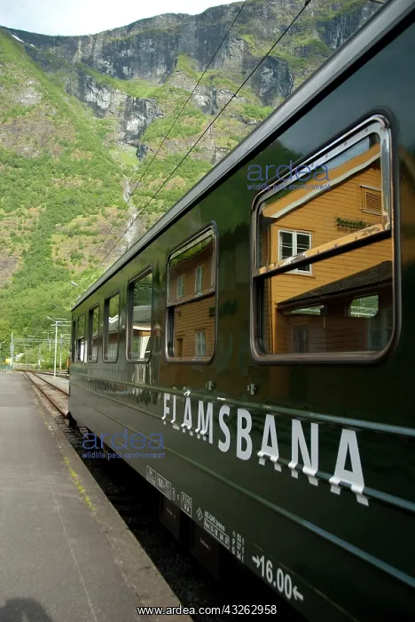 : Norway, Flam. Flam Railway (aka Flamsbana) : Norway, Flam. Flam Railway (aka Flamsbana)