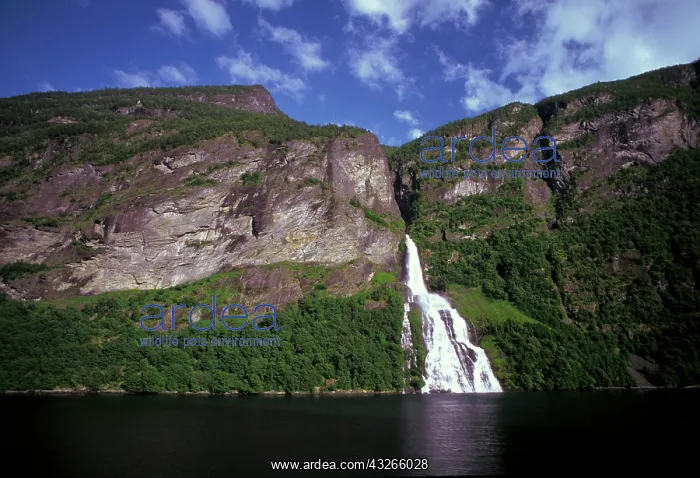 : Norway. Geiranger Fjord : Norway. Geiranger Fjord