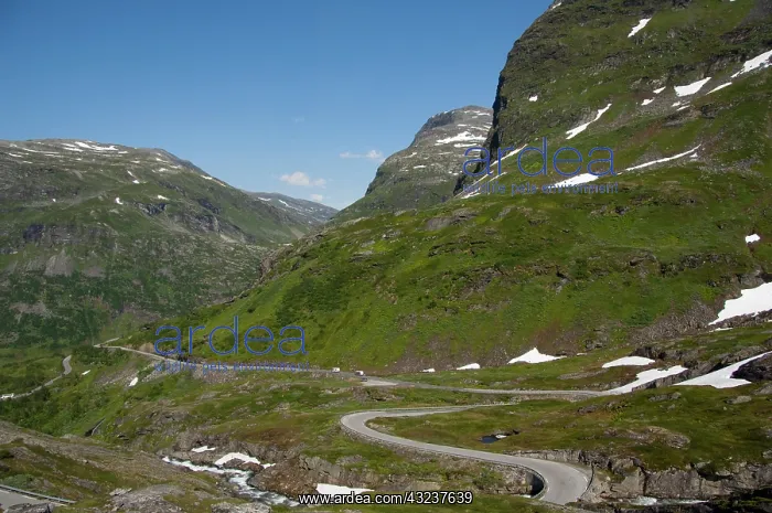 : Norway, Geiranger. Scenic byway 63 up to : Norway, Geiranger. Scenic byway 63 up to