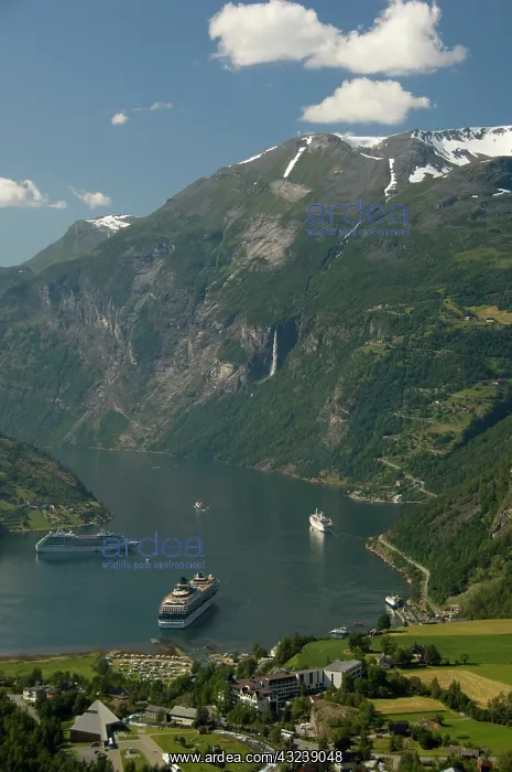 : Norway, Geiranger. View of the port of Geiranger : Norway, Geiranger. View of the port of Geiranger
