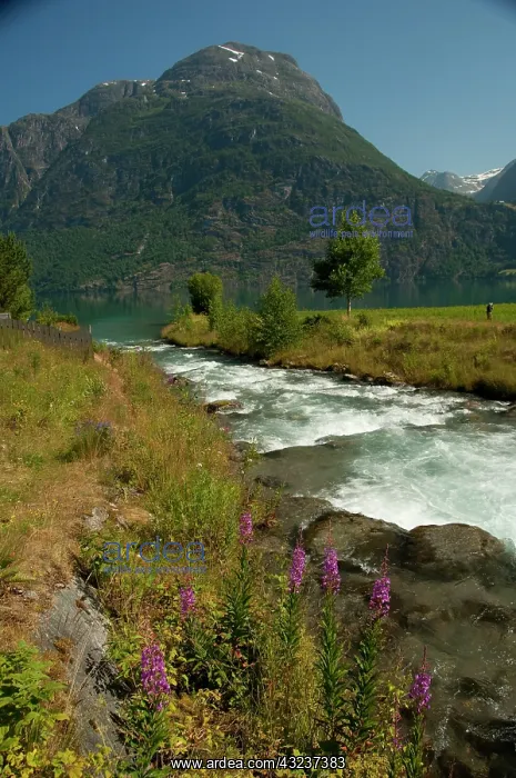: Norway, Geirangerfjord District. Jostedalsbreen : Norway, Geirangerfjord District. Jostedalsbreen