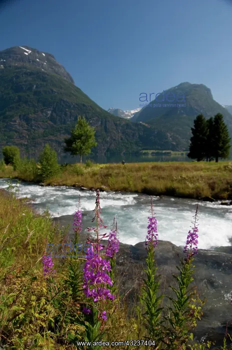 : Norway, Geirangerfjord District. Jostedalsbreen : Norway, Geirangerfjord District. Jostedalsbreen