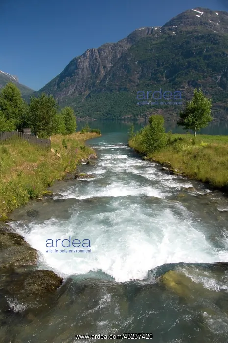 : Norway, Geirangerfjord District. Jostedalsbreen : Norway, Geirangerfjord District. Jostedalsbreen
