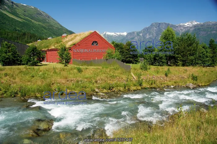  : Norway, Geirangerfjord District. Jostedalsbreen