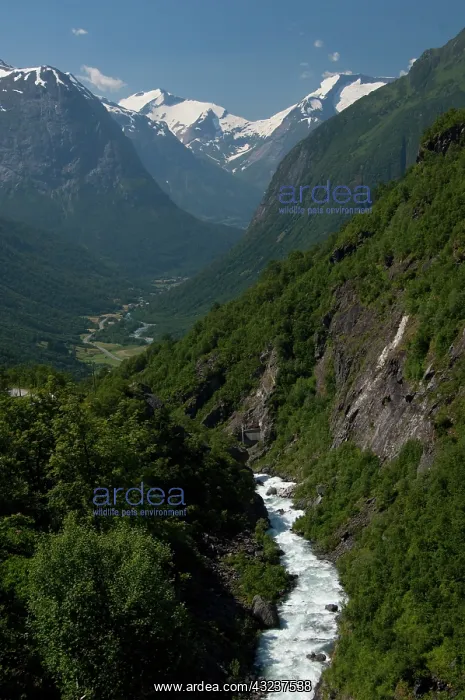: Norway, Geirangerfjord District. Jostedalsbreen : Norway, Geirangerfjord District. Jostedalsbreen