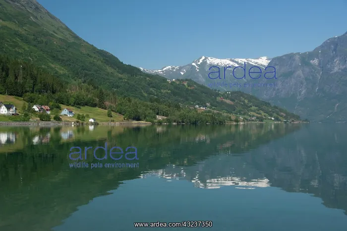  : Norway, Geirangerfjord District. Scenic
