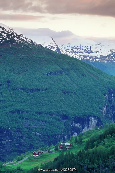 : Norway, Geirangerfjord. Fjord landscape : Norway, Geirangerfjord. Fjord landscape
