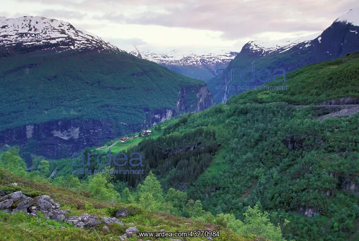 : Norway, Geirangerfjord. Fjord landscape : Norway, Geirangerfjord. Fjord landscape