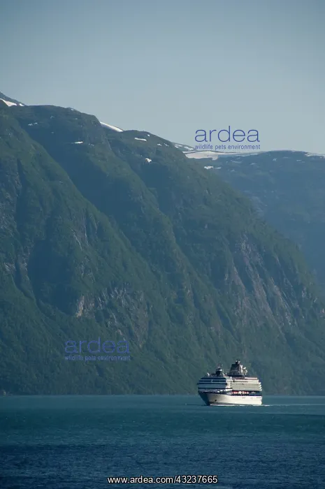 : Norway, Geirangerfjord, Geiranger. Celebrity : Norway, Geirangerfjord, Geiranger. Celebrity
