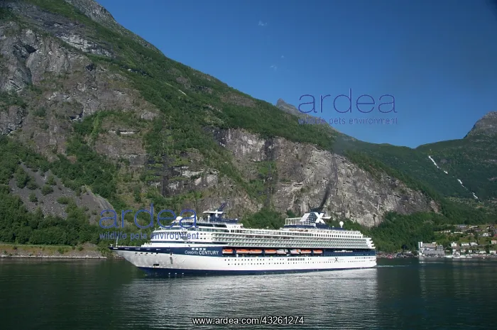 : Norway, Geirangerfjord, Geiranger. Cruise : Norway, Geirangerfjord, Geiranger. Cruise