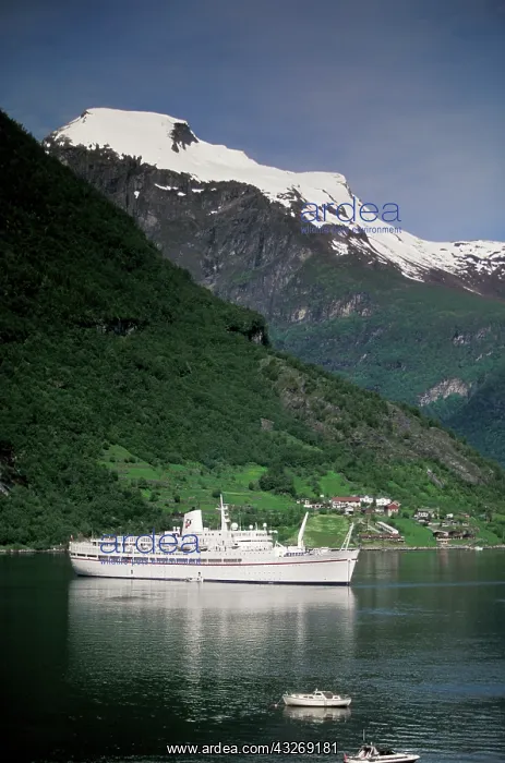 : Norway, Geirangerfjord, Geiranger. Fjord : Norway, Geirangerfjord, Geiranger. Fjord