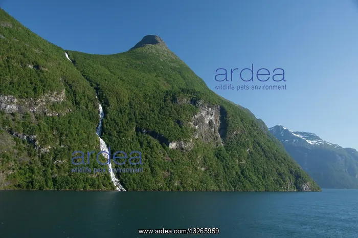 : Norway, Geirangerfjord, Geiranger. Scenic : Norway, Geirangerfjord, Geiranger. Scenic