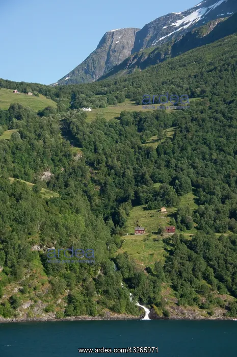 : Norway, Geirangerfjord, Geiranger. Scenic : Norway, Geirangerfjord, Geiranger. Scenic
