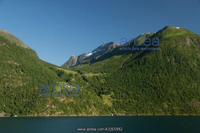 : Norway, Geirangerfjord, Geiranger. Scenic : Norway, Geirangerfjord, Geiranger. Scenic