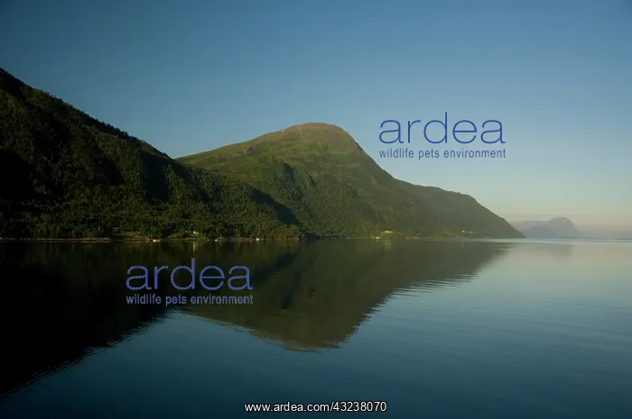 : Norway, Geirangerfjord. Scenic fjord sailing : Norway, Geirangerfjord. Scenic fjord sailing