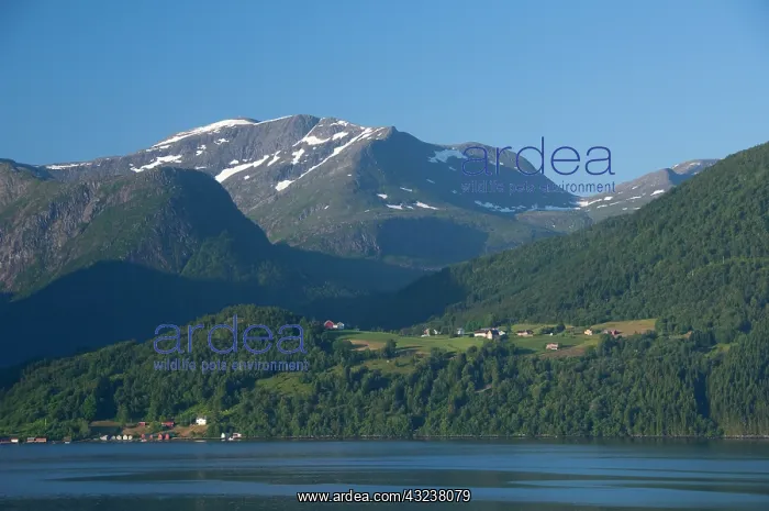 : Norway, Geirangerfjord. Scenic fjord sailing : Norway, Geirangerfjord. Scenic fjord sailing