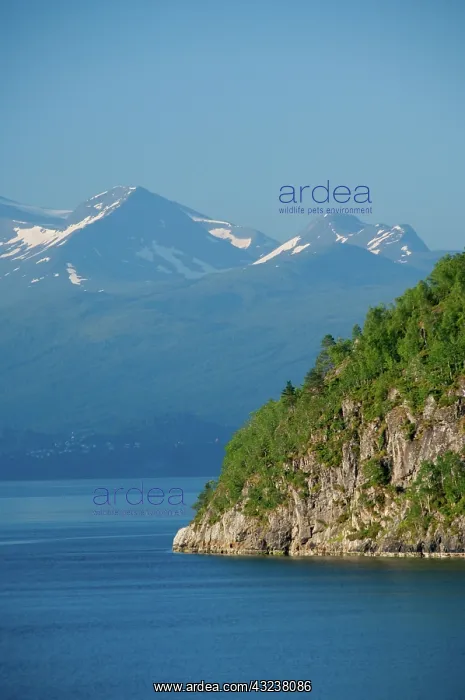 : Norway, Geirangerfjord. Scenic fjord sailing : Norway, Geirangerfjord. Scenic fjord sailing