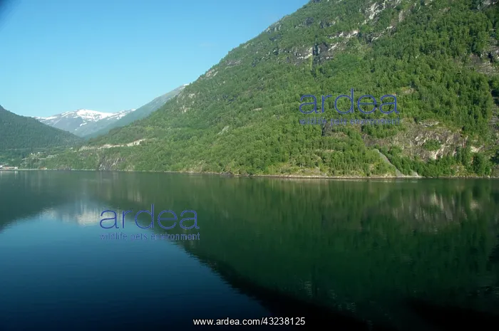 : Norway, Geirangerfjord. Scenic fjord sailing : Norway, Geirangerfjord. Scenic fjord sailing