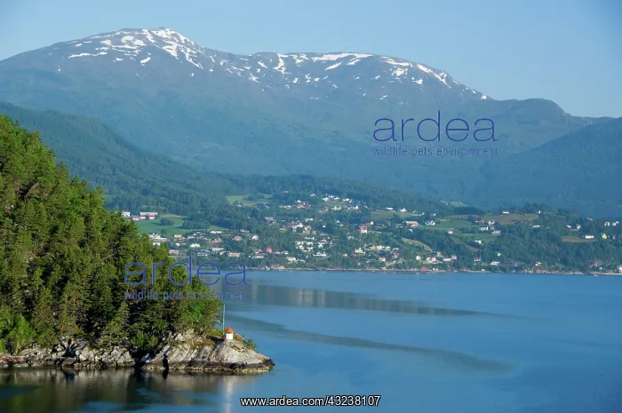 : Norway, Geirangerfjord. View of scenic fjord : Norway, Geirangerfjord. View of scenic fjord