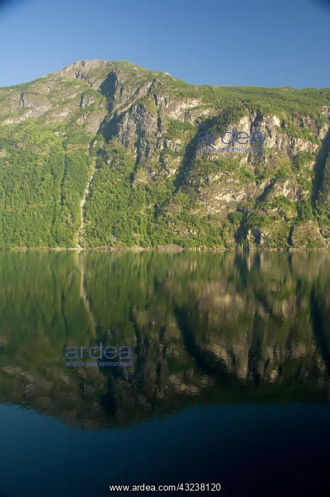 : Norway, Geirangerfjord. View of scenic fjord : Norway, Geirangerfjord. View of scenic fjord