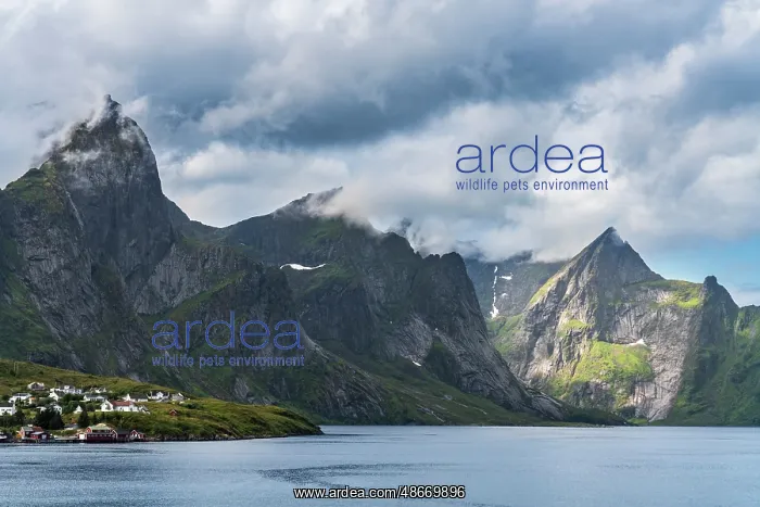 : Norway, Hamnoy. Fishing village houses and mountains. ic Don : Norway, Hamnoy. Fishing village houses and mountains. ic Don