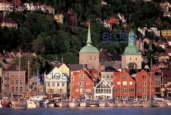 : Norway, Hordaland, Bergen. Harbor view : Norway, Hordaland, Bergen. Harbor view