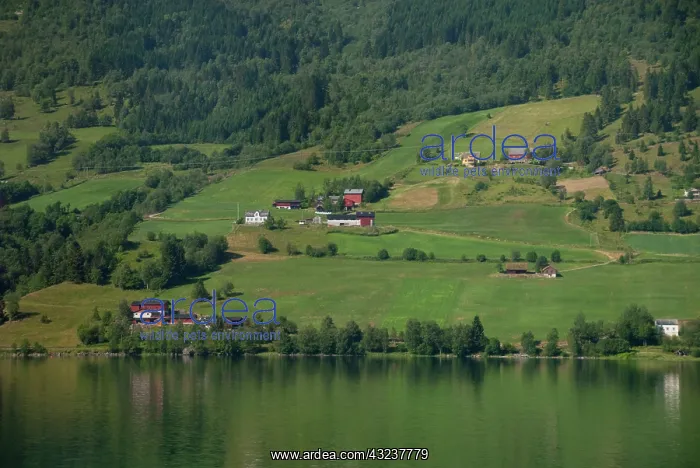  : Norway, Hornindal. View from scenic by-way